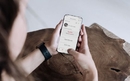 Genius - mobilna aplikacija za vašu bolju financijsku budućnost | Mobiteli i mobilni razvoj | rep.hr