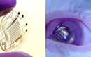 Kontaktne leće budućnosti nudit će proširenu stvarnost | Tehno i IT | rep.hr