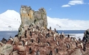 Google Street View stigao i do Antartika | Internet | rep.hr